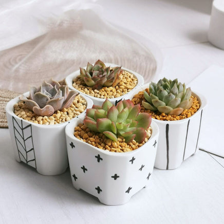 Japanese Simple Ceramic Succulent Flower Pot Green Plant Pot Container - Fun Gifts & More