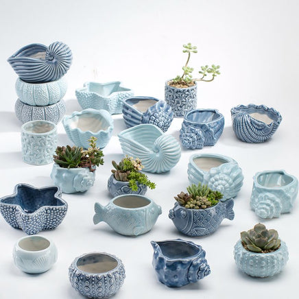 Succulent flower pot - Fun Gifts & More