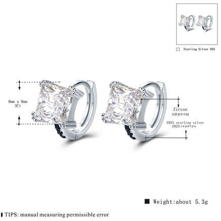 Sterling silver zircon earrings - Fun Gifts & More