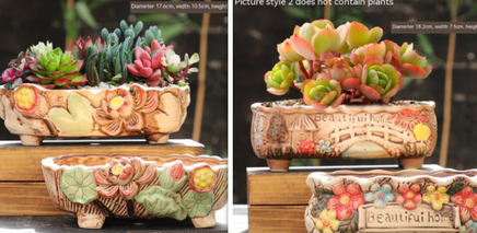 Large Succulent Flower Pot Ceramic - Fun Gifts & More