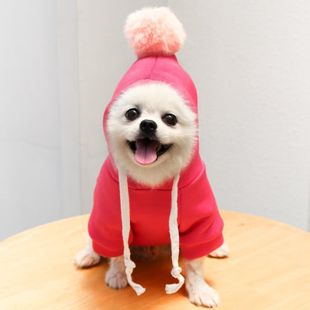 Fruit Pet Coat Hoodies - Fun Gifts & More