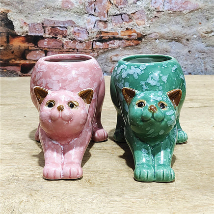 Cartoon Cute Cat Ceramic Succulent Small Flower Pot - Fun Gifts & More