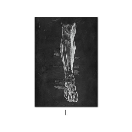 Canvas Painting Of Human Anatomy Skeleton Organ System - Fun Gifts & More