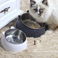 Protective Cervical Cat Bowl Oblique Mouth Pet Bowl - Fun Gifts & More