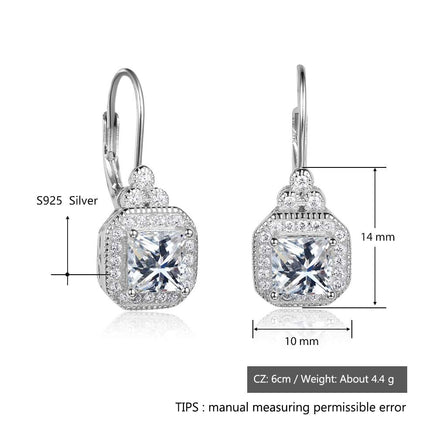 s925 sterling silver rhinestone earrings - Fun Gifts & More