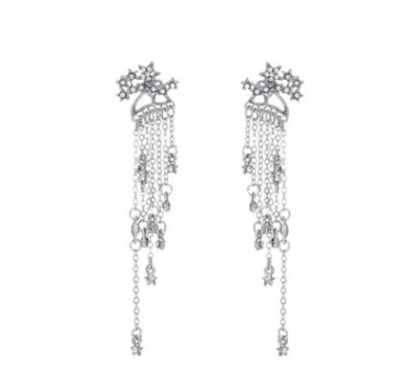 Shining Star Tassel Earrings Back Hanging Exquisite Earrings - Fun Gifts & More