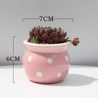 Succulent Flower Pot Ceramic Flower Pot Thumb Pot - Fun Gifts & More