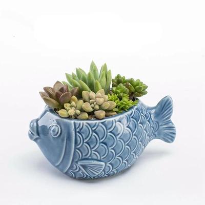 Succulent flower pot - Fun Gifts & More