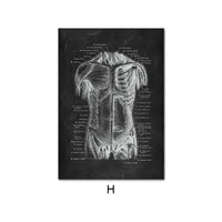 Canvas Painting Of Human Anatomy Skeleton Organ System - Fun Gifts & More