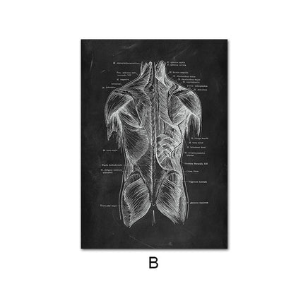 Canvas Painting Of Human Anatomy Skeleton Organ System - Fun Gifts & More