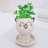 Mini Cat Shaped Cartoon Ceramic Flowerpot - Fun Gifts & More