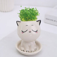 Mini Cat Shaped Cartoon Ceramic Flowerpot - Fun Gifts & More