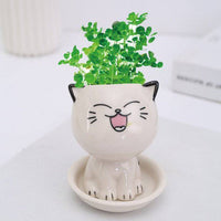 Mini Cat Shaped Cartoon Ceramic Flowerpot - Fun Gifts & More