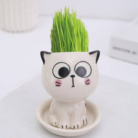 Mini Cat Shaped Cartoon Ceramic Flowerpot - Fun Gifts & More