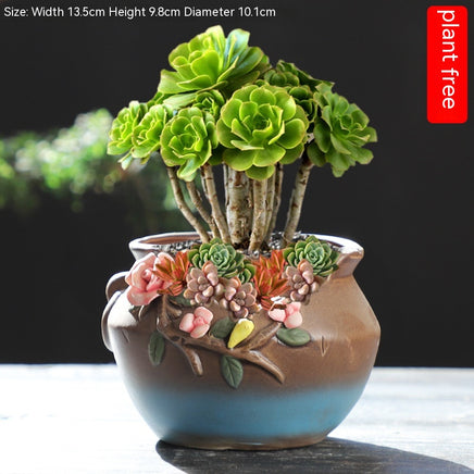 Large Succulent Flower Pot Ceramic - Fun Gifts & More