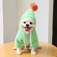 Fruit Pet Coat Hoodies - Fun Gifts & More