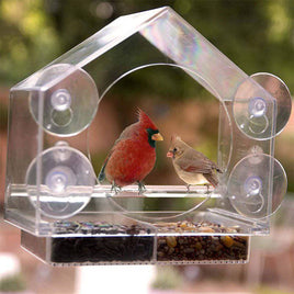 Acrylic Outdoor Garden Hummingbird Field Feeder - Fun Gifts & More