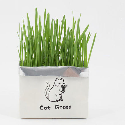 Organic Cat Grass - Fun Gifts & More