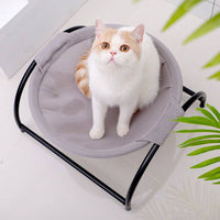 Best Cat Hammocks - Fun Gifts & More