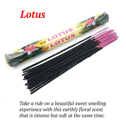 Harmony Incense Sticks - Fun Gifts & More