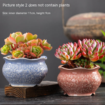 Large Succulent Flower Pot Ceramic - Fun Gifts & More