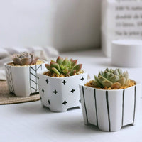 Japanese Simple Ceramic Succulent Flower Pot Green Plant Pot Container - Fun Gifts & More