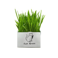 Organic Cat Grass - Fun Gifts & More