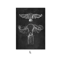 Canvas Painting Of Human Anatomy Skeleton Organ System - Fun Gifts & More