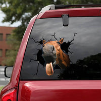 Horse Glass Sticker for vehicle windshield and more - Fun Gifts & More