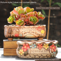 Large Succulent Flower Pot Ceramic - Fun Gifts & More