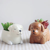 Cartoon Animal Dog Cute Succulent Flower Pot - Fun Gifts & More