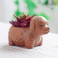 Cartoon Animal Dog Cute Succulent Flower Pot - Fun Gifts & More