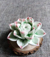 Ceramic Decoration Incense Burner - Fun Gifts & More