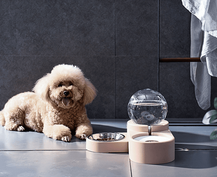 Automatic pet water bowl - Fun Gifts & More