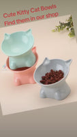 Cute Elevated Cat Bowls