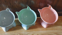 Cute Elevated Cat Bowls