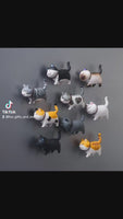 Fridge Kitty Cat Magnets