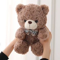 Cute Cartoon Little Teddy Bear Plush Toys - Fun Gifts & More