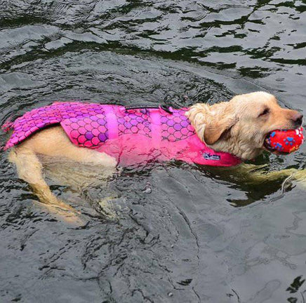 Dog swimwear pet rescue kits transform pet life jackets - Fun Gifts & More