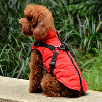 Waterproof Pet Coat With Harness - Fun Gifts & More