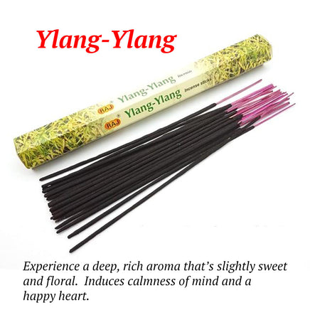 Harmony Incense Sticks - Fun Gifts & More