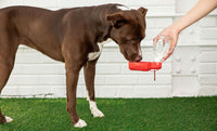 Pet Water Bottle - Fun Gifts & More