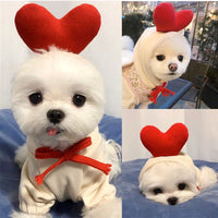 Fruit Pet Coat Hoodies - Fun Gifts & More