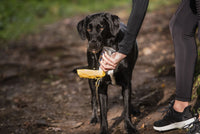 Pet Water Bottle - Fun Gifts & More