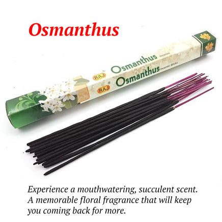 Harmony Incense Sticks - Fun Gifts & More