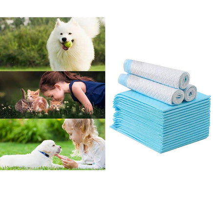 Super Absorbent Pet Diaper - Fun Gifts & More